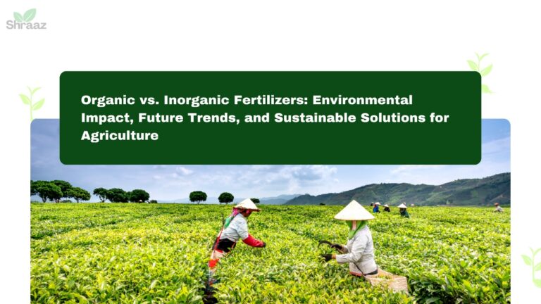 Organic vs. Inorganic Fertilizers