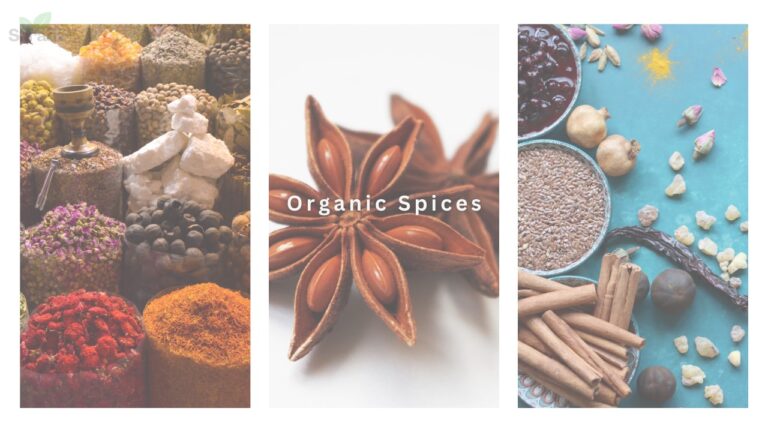 Organic Spices