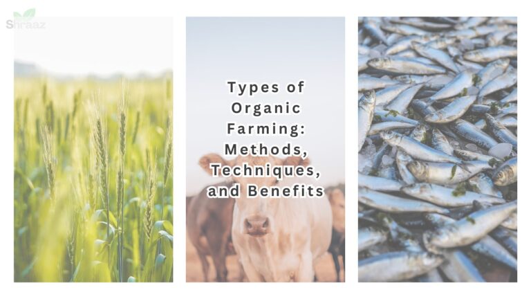 Types of Organic Farming