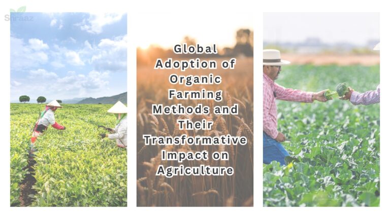 Adoption and impact of Organic Farming