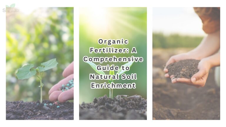 Organic Fertilizer