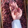 Saudi Mabroom Dates